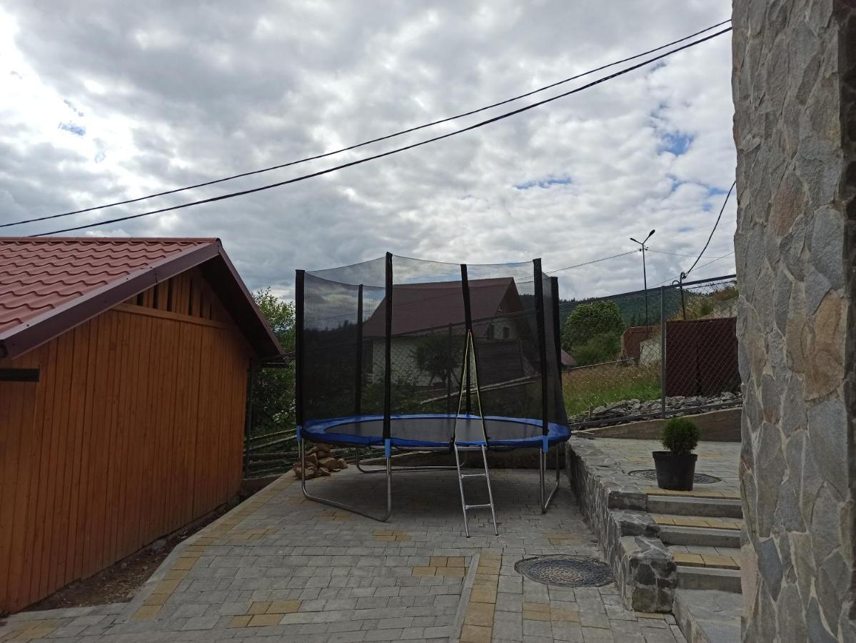 Brand New 2020 Specious Apartment Druzi 2 Palyanytsya Dış mekan fotoğraf