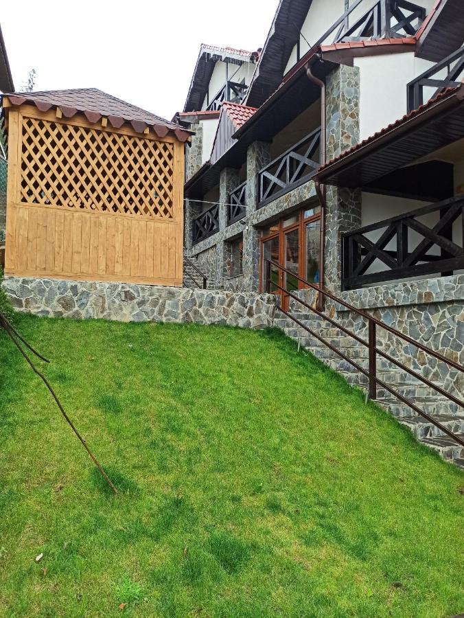 Brand New 2020 Specious Apartment Druzi 2 Palyanytsya Dış mekan fotoğraf