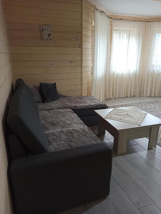 Brand New 2020 Specious Apartment Druzi 2 Palyanytsya Dış mekan fotoğraf