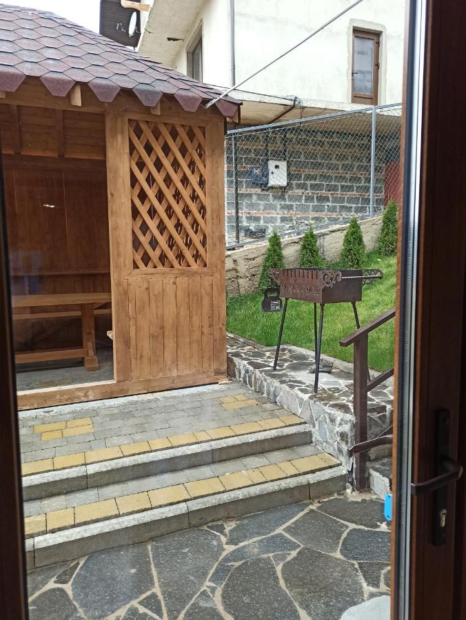 Brand New 2020 Specious Apartment Druzi 2 Palyanytsya Dış mekan fotoğraf