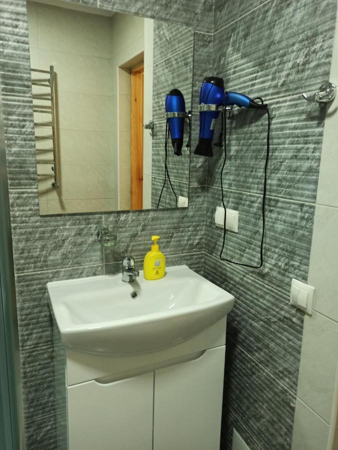 Brand New 2020 Specious Apartment Druzi 2 Palyanytsya Dış mekan fotoğraf