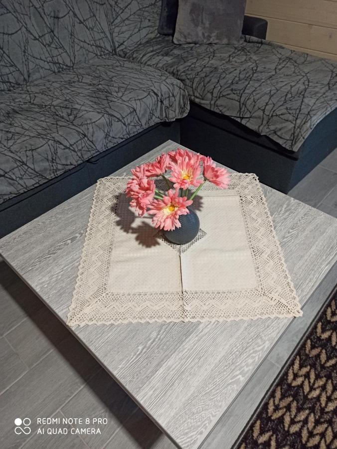 Brand New 2020 Specious Apartment Druzi 2 Palyanytsya Dış mekan fotoğraf