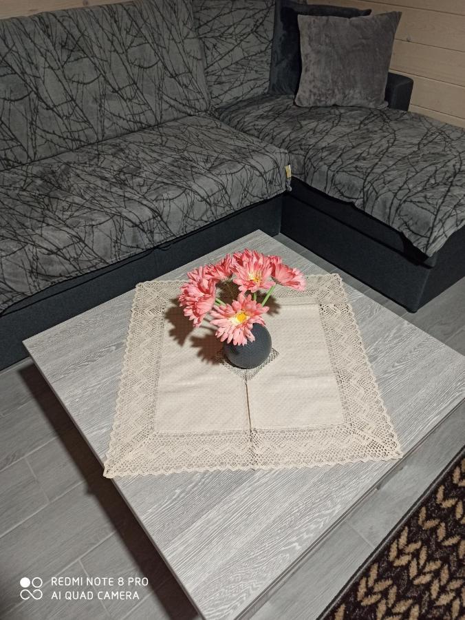 Brand New 2020 Specious Apartment Druzi 2 Palyanytsya Dış mekan fotoğraf