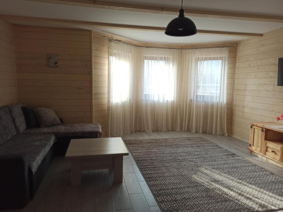 Brand New 2020 Specious Apartment Druzi 2 Palyanytsya Dış mekan fotoğraf